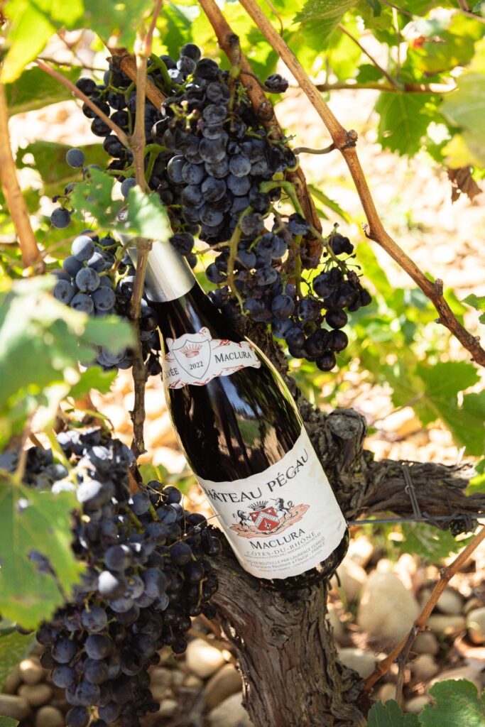 domaine bouteille maclura cuvee