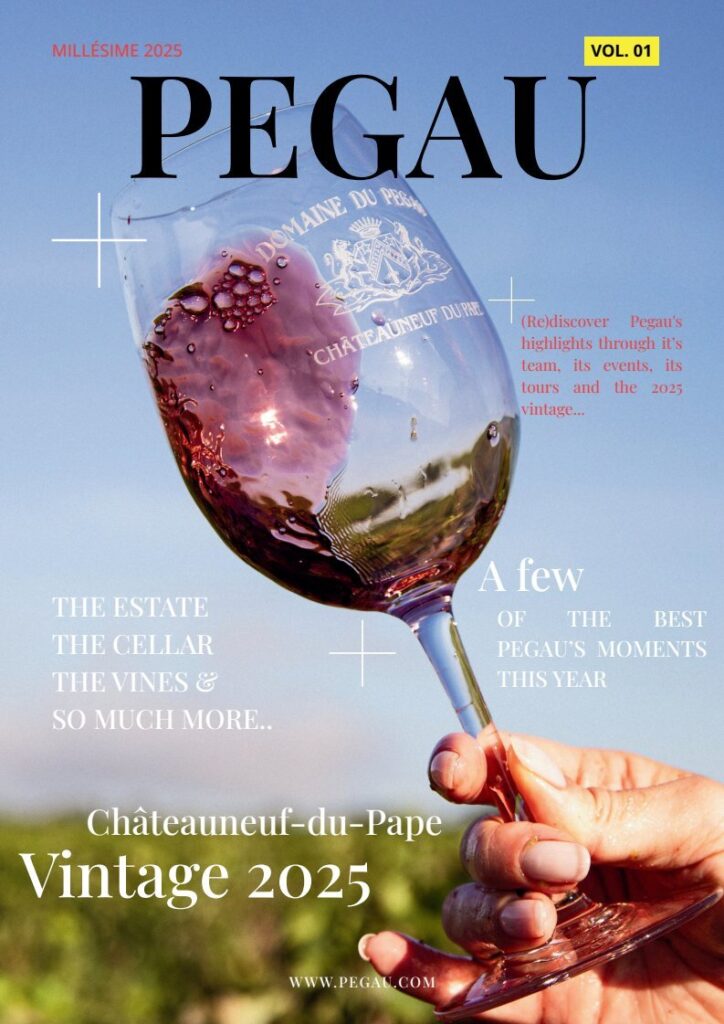 poster magazine pegau 2025 en