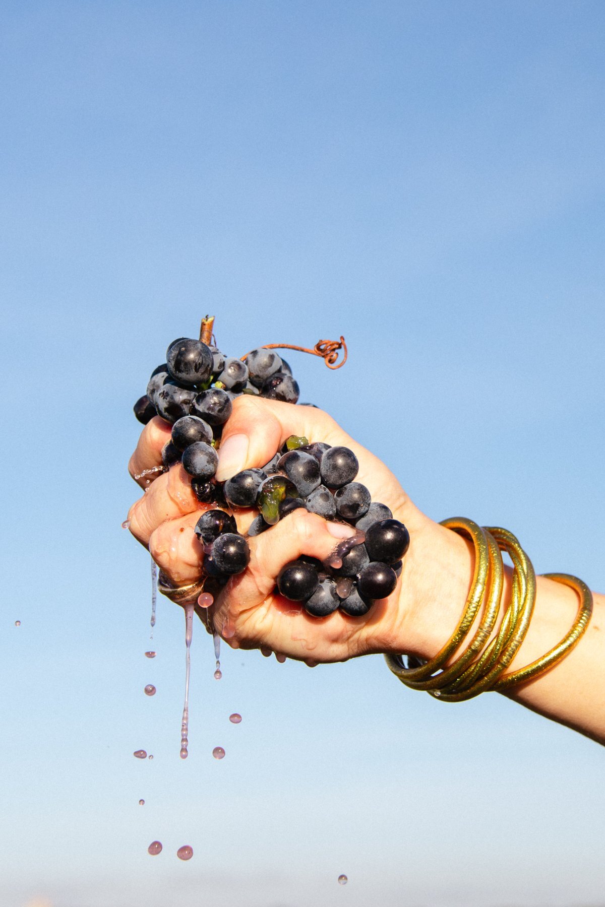savoir faire chateau pegau
