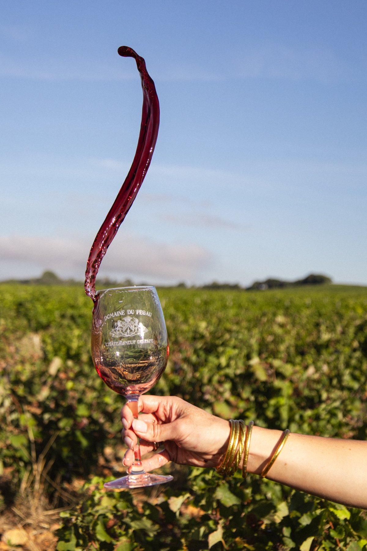 verre vin domaine pegau vignoble