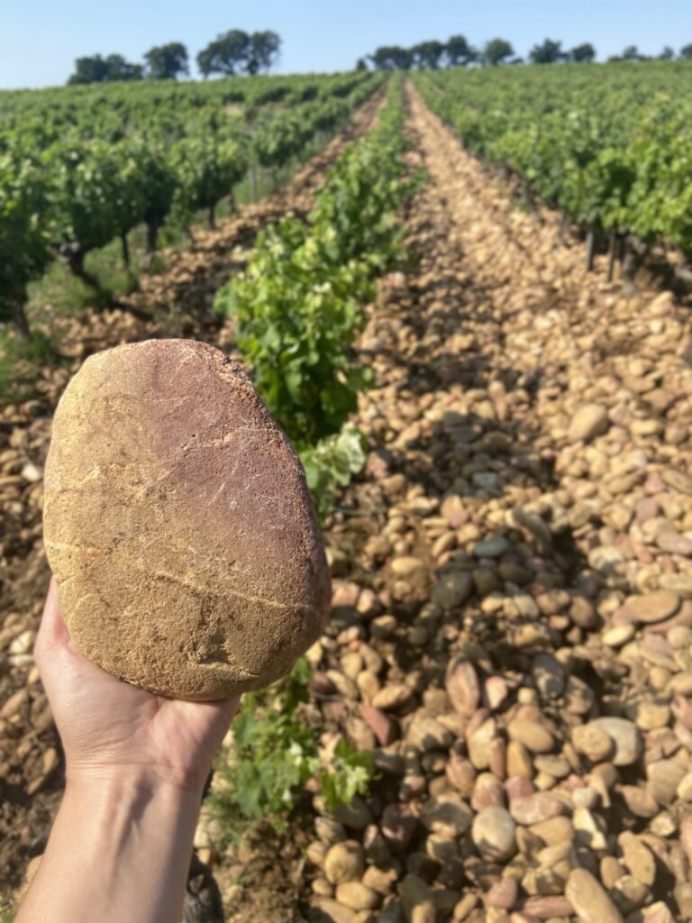 vignes chateau pegau