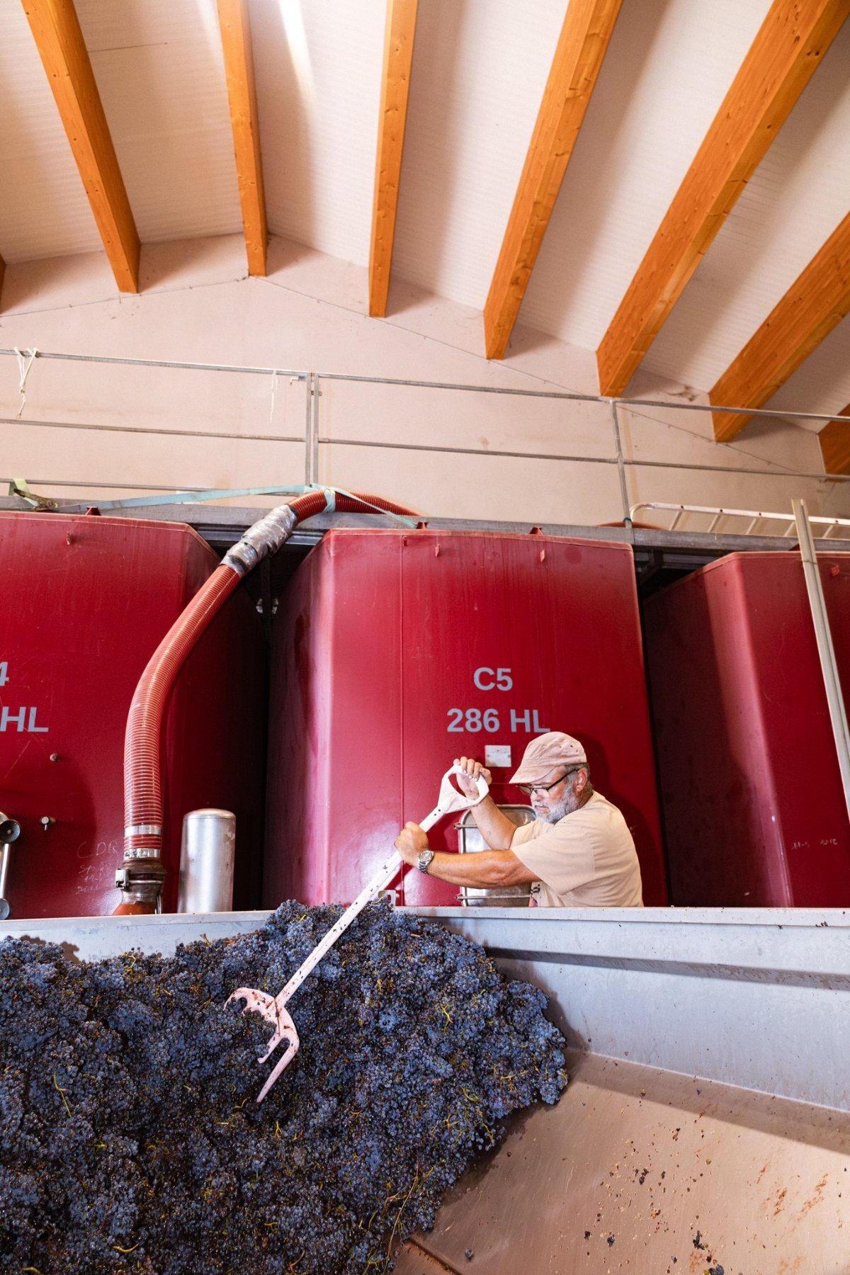vinification cuves beton pegau